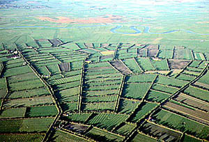 bocage